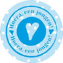 www.zwemverenigingbeekendonk.nl